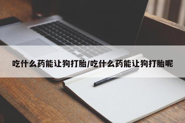 打胎药/堕胎药/流产药私人联系微信吃什么药能让狗打胎/吃什么药能让狗打胎呢