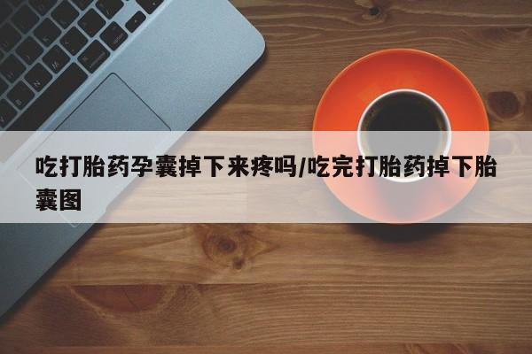 打胎药/堕胎药/流产药私人联系微信吃打胎药孕囊掉下来疼吗/吃完打胎药掉下胎囊图